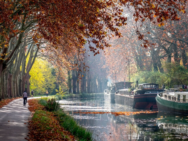 BASKLAR VE GÜNEY FRANSA 2026 PC (MRS-BIO)