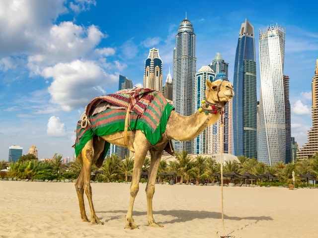 Dubai & Abu Dhabi | 4 Gece | İstanbul Çıkış | AirArabia | 30 Aralık Hareket Yılbaşı Özel