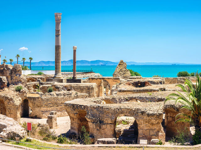 TUNUS (HAMMAMET) TURU VİZESİZ Türk Hava Yolları ile 3 Gece (İST)