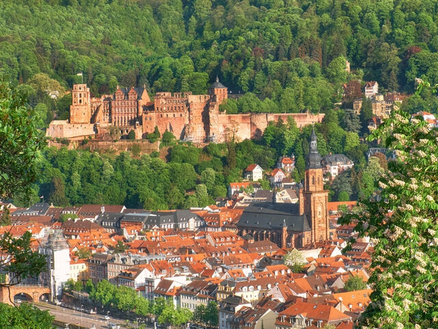 Görkemli Rüya Üçgeni İsviçre – Fransa – Almanya 2025 Sonbahar – Kış Dönemi Türk Hava Yolları ile 4 Gece 