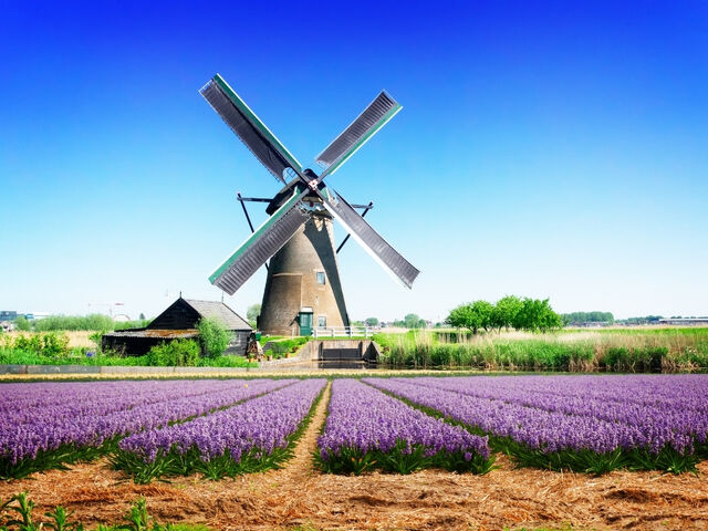 Görkemli Amsterdam: Renklerin Şehri Yılbaşı Özel Türk Hava Yolları ile 3 Gece