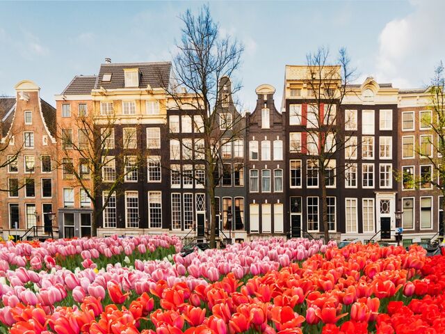 Görkemli Amsterdam: Renklerin Şehri Yılbaşı Özel Türk Hava Yolları ile 3 Gece