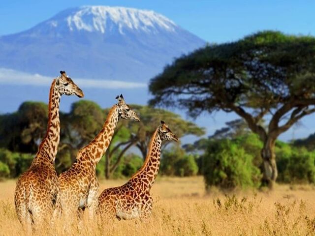 Güney Afrika | 7 Gece | İstanbul Çıkış | THY